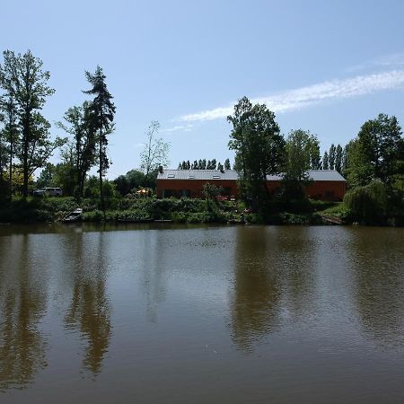 Florennes Gite Neuf 150 M2 Devant Un Grand Lac Prive De 2 Hectares Poissonneux Au Milieu Des Bois Buitenkant foto