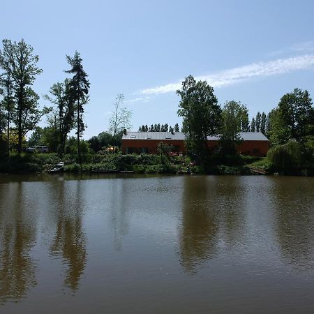 Florennes Gite Neuf 150 M2 Devant Un Grand Lac Prive De 2 Hectares Poissonneux Au Milieu Des Bois Villa Buitenkant foto