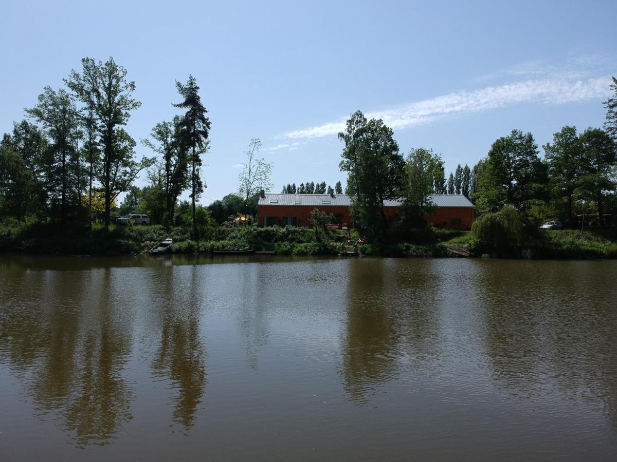 Florennes Gite Neuf 150 M2 Devant Un Grand Lac Prive De 2 Hectares Poissonneux Au Milieu Des Bois Buitenkant foto