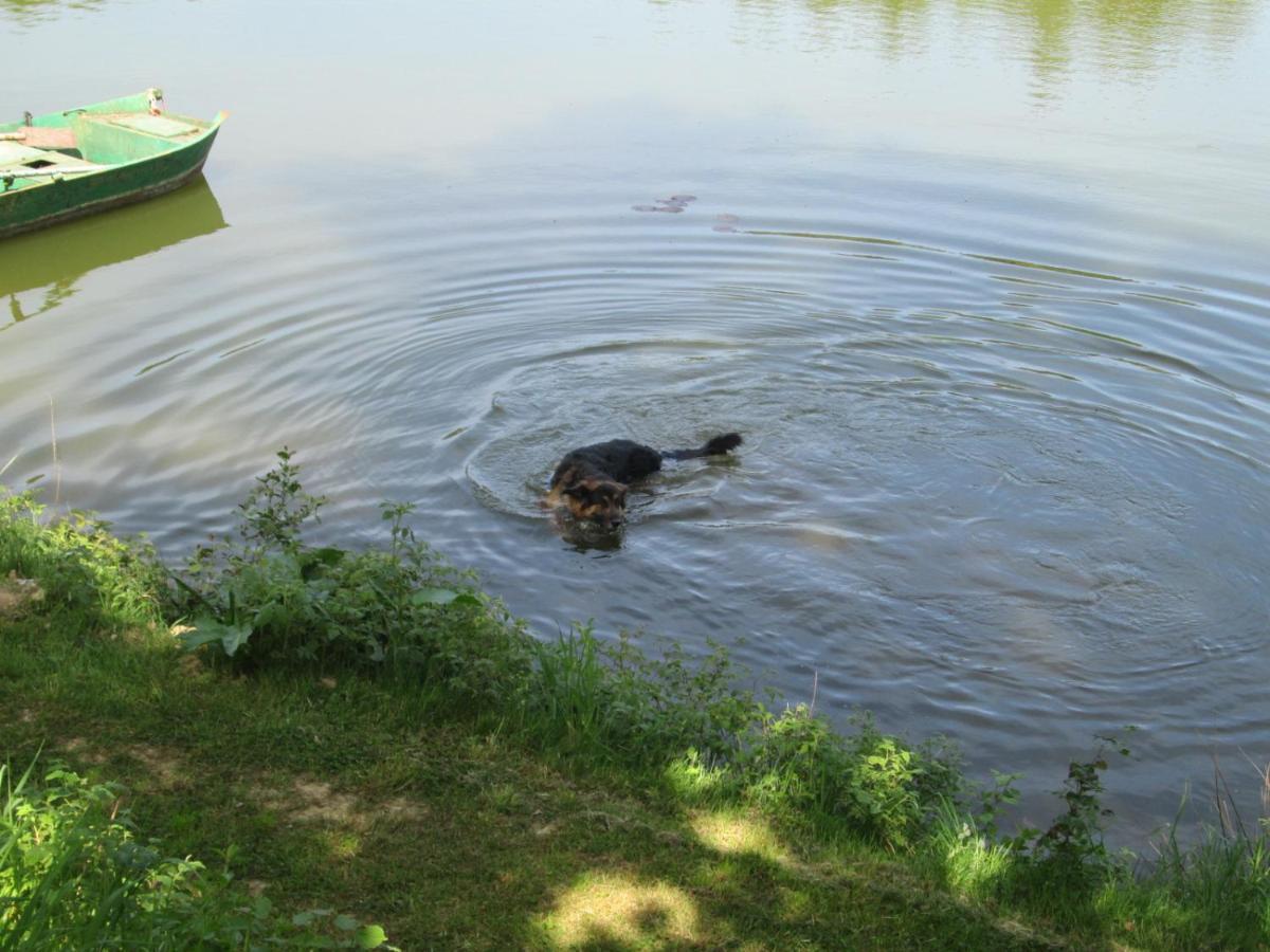 Florennes Gite Neuf 150 M2 Devant Un Grand Lac Prive De 2 Hectares Poissonneux Au Milieu Des Bois Villa Buitenkant foto