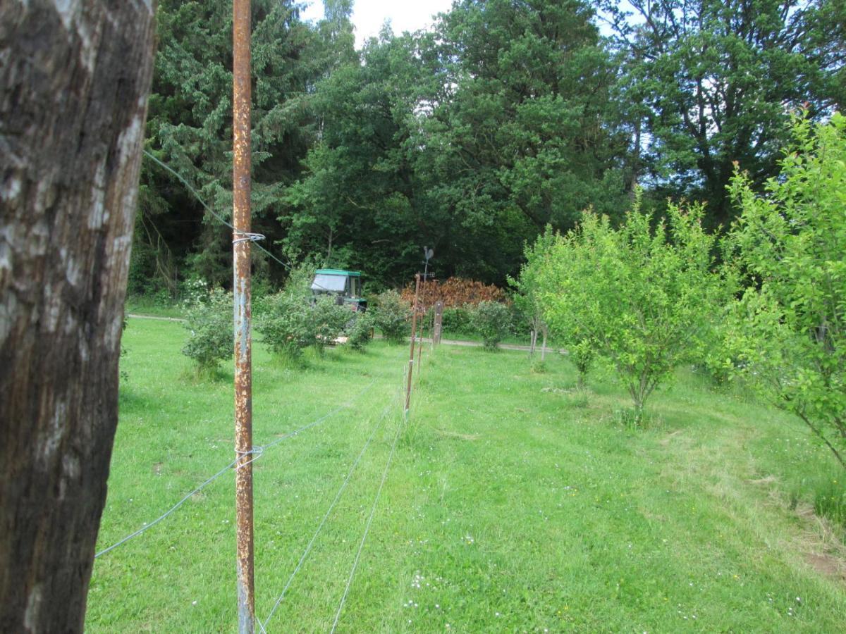 Florennes Gite Neuf 150 M2 Devant Un Grand Lac Prive De 2 Hectares Poissonneux Au Milieu Des Bois Villa Buitenkant foto