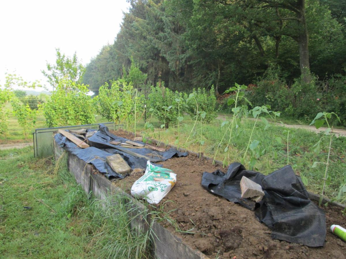 Florennes Gite Neuf 150 M2 Devant Un Grand Lac Prive De 2 Hectares Poissonneux Au Milieu Des Bois Villa Buitenkant foto