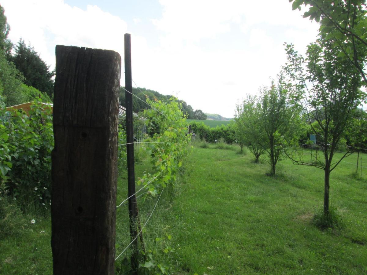 Florennes Gite Neuf 150 M2 Devant Un Grand Lac Prive De 2 Hectares Poissonneux Au Milieu Des Bois Villa Buitenkant foto