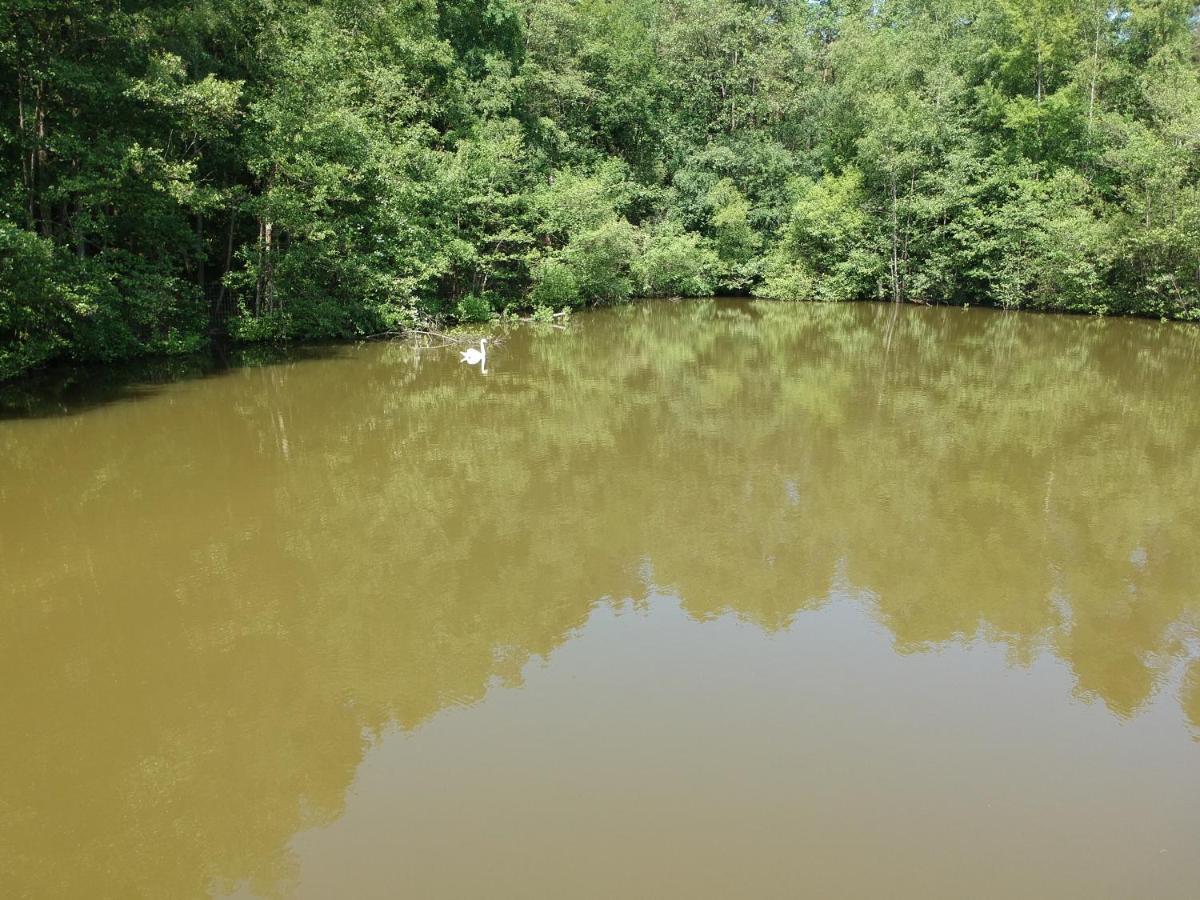 Florennes Gite Neuf 150 M2 Devant Un Grand Lac Prive De 2 Hectares Poissonneux Au Milieu Des Bois Villa Buitenkant foto