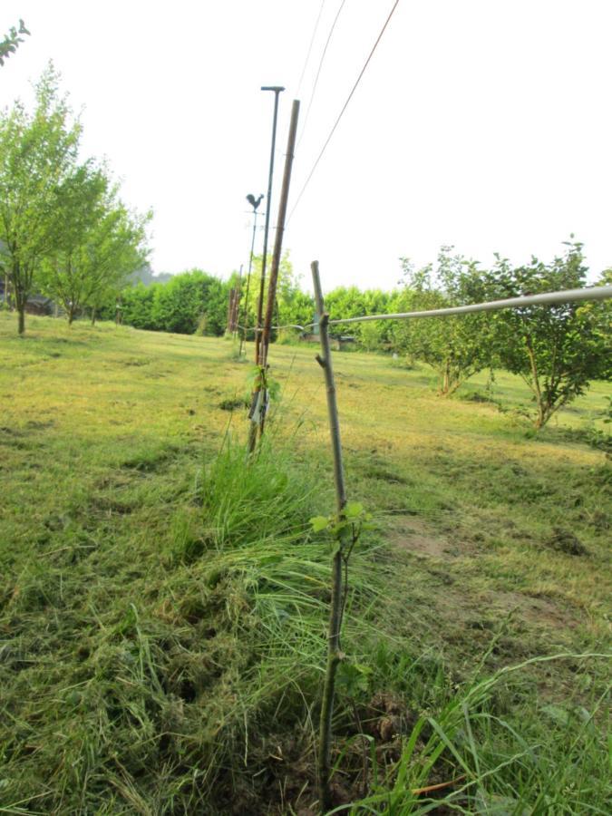 Florennes Gite Neuf 150 M2 Devant Un Grand Lac Prive De 2 Hectares Poissonneux Au Milieu Des Bois Villa Buitenkant foto