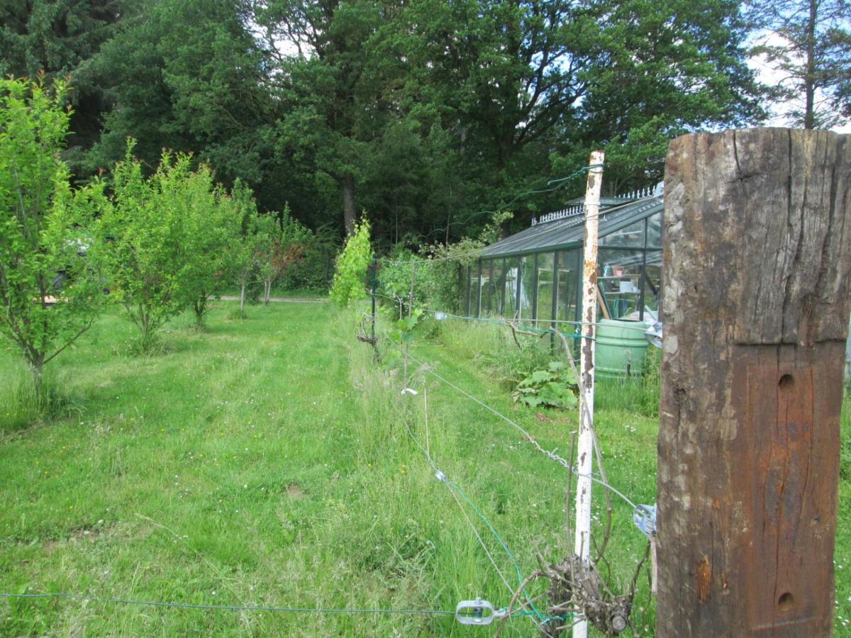 Florennes Gite Neuf 150 M2 Devant Un Grand Lac Prive De 2 Hectares Poissonneux Au Milieu Des Bois Villa Buitenkant foto