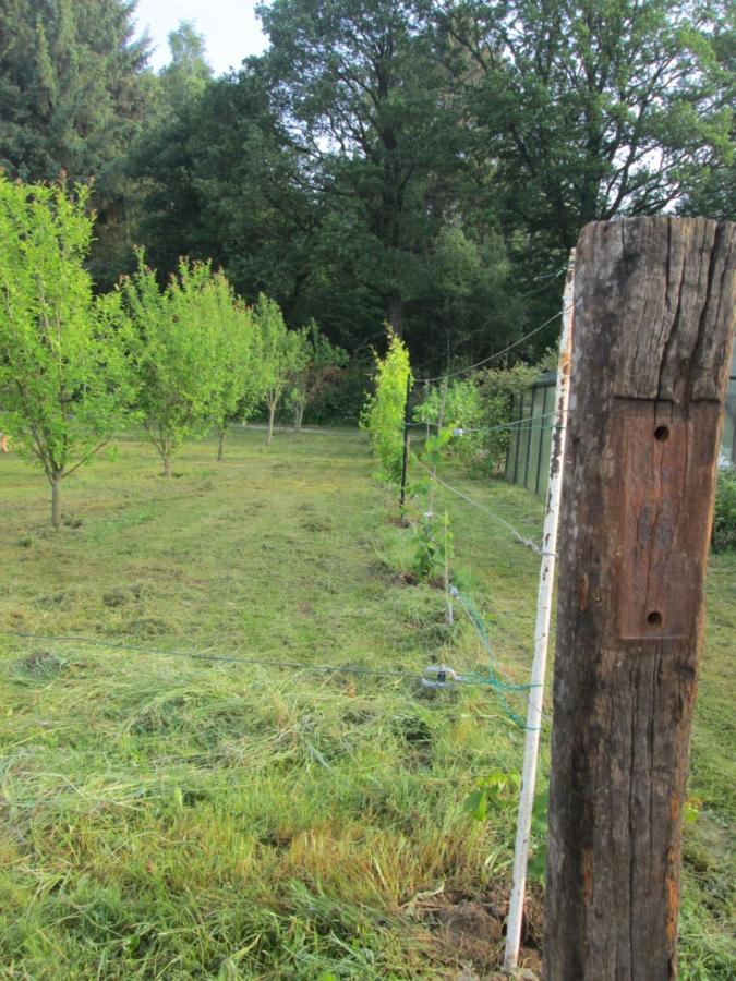 Florennes Gite Neuf 150 M2 Devant Un Grand Lac Prive De 2 Hectares Poissonneux Au Milieu Des Bois Buitenkant foto