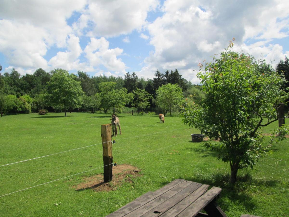 Florennes Gite Neuf 150 M2 Devant Un Grand Lac Prive De 2 Hectares Poissonneux Au Milieu Des Bois Buitenkant foto