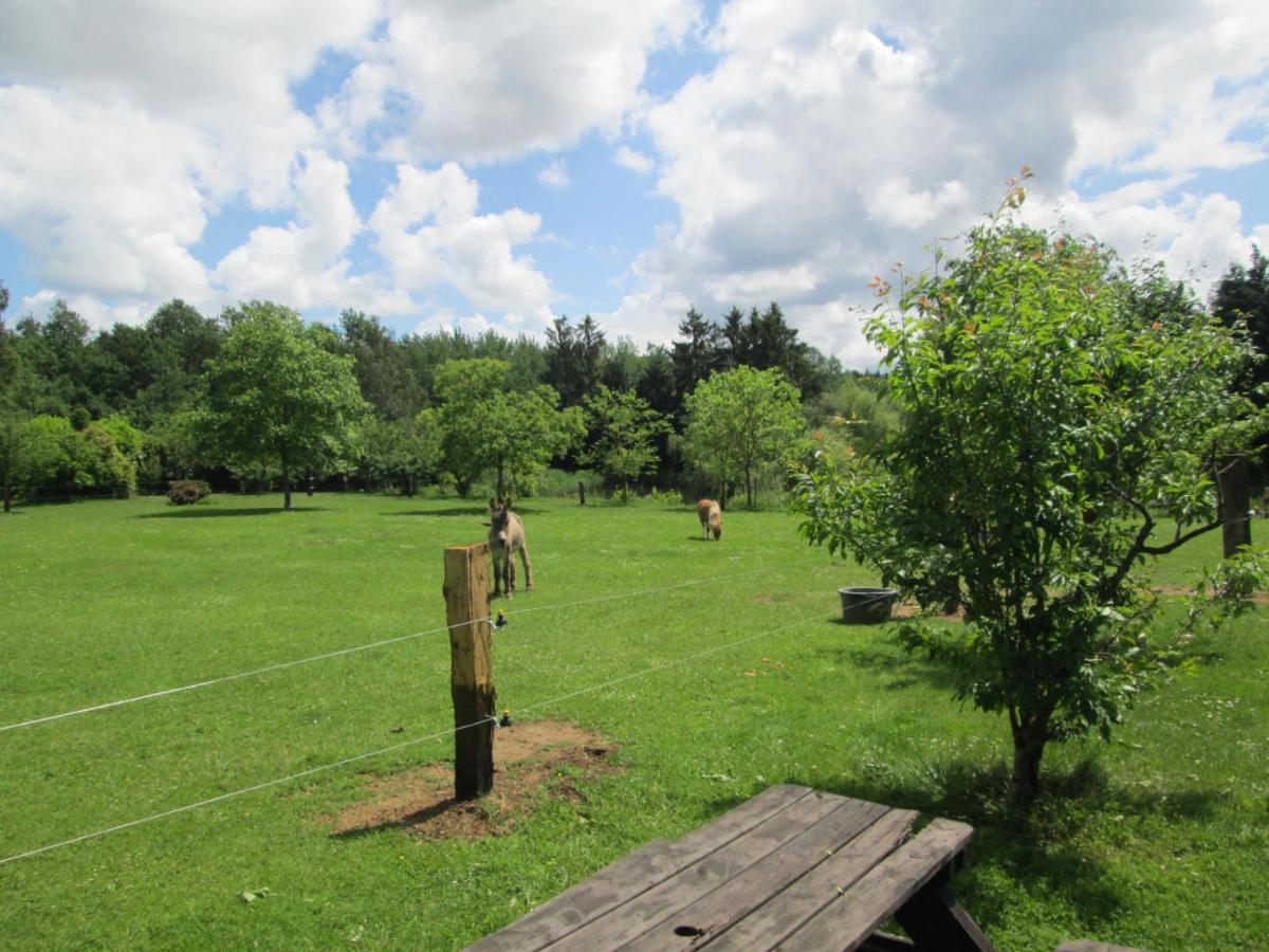 Florennes Gite Neuf 150 M2 Devant Un Grand Lac Prive De 2 Hectares Poissonneux Au Milieu Des Bois Villa Buitenkant foto