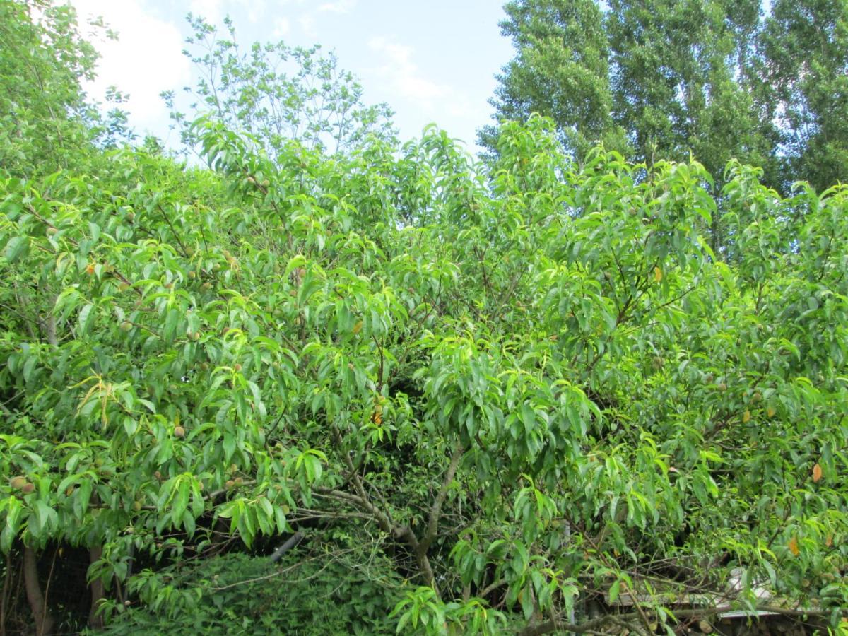 Florennes Gite Neuf 150 M2 Devant Un Grand Lac Prive De 2 Hectares Poissonneux Au Milieu Des Bois Villa Buitenkant foto