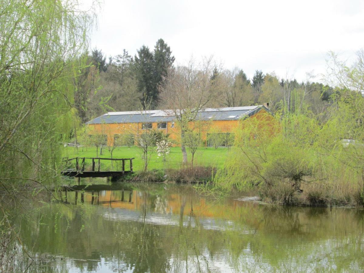 Florennes Gite Neuf 150 M2 Devant Un Grand Lac Prive De 2 Hectares Poissonneux Au Milieu Des Bois Buitenkant foto
