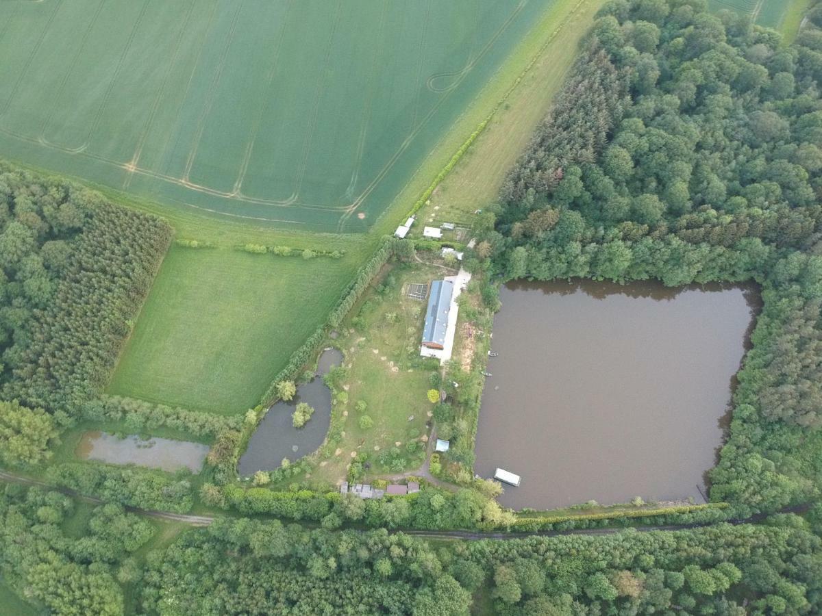 Florennes Gite Neuf 150 M2 Devant Un Grand Lac Prive De 2 Hectares Poissonneux Au Milieu Des Bois Villa Buitenkant foto