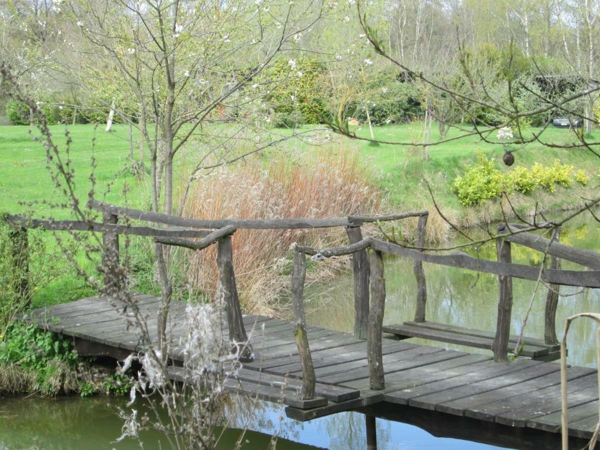 Florennes Gite Neuf 150 M2 Devant Un Grand Lac Prive De 2 Hectares Poissonneux Au Milieu Des Bois Buitenkant foto