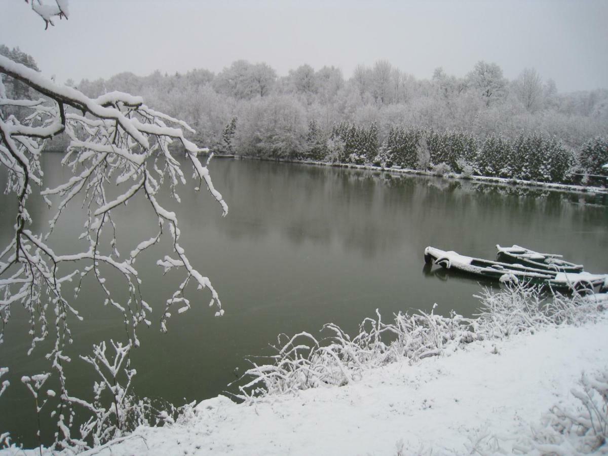 Florennes Gite Neuf 150 M2 Devant Un Grand Lac Prive De 2 Hectares Poissonneux Au Milieu Des Bois Villa Buitenkant foto