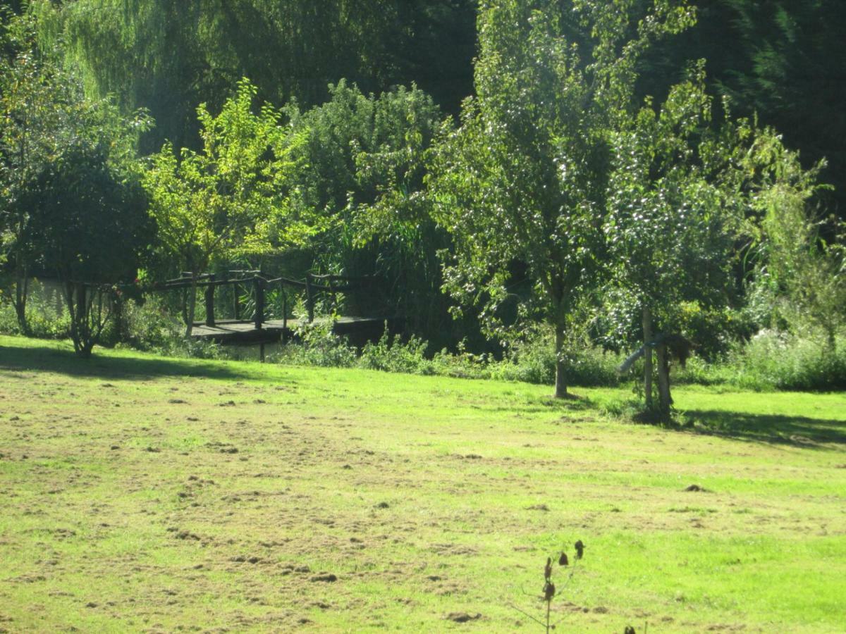 Florennes Gite Neuf 150 M2 Devant Un Grand Lac Prive De 2 Hectares Poissonneux Au Milieu Des Bois Villa Buitenkant foto