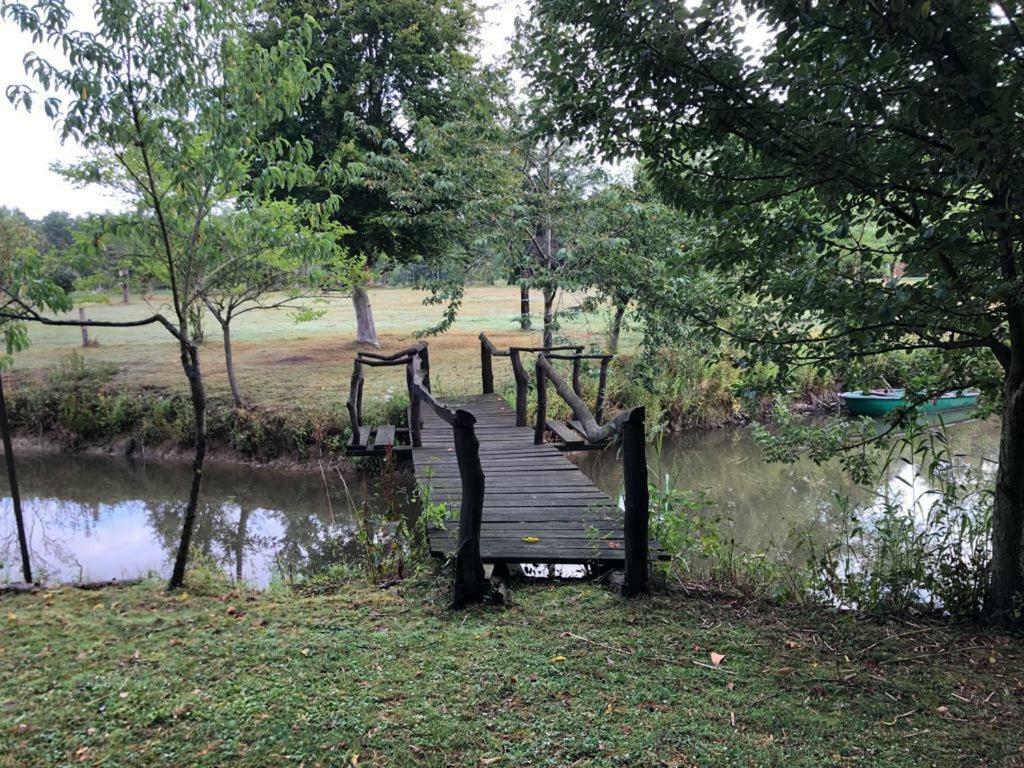 Florennes Gite Neuf 150 M2 Devant Un Grand Lac Prive De 2 Hectares Poissonneux Au Milieu Des Bois Villa Buitenkant foto