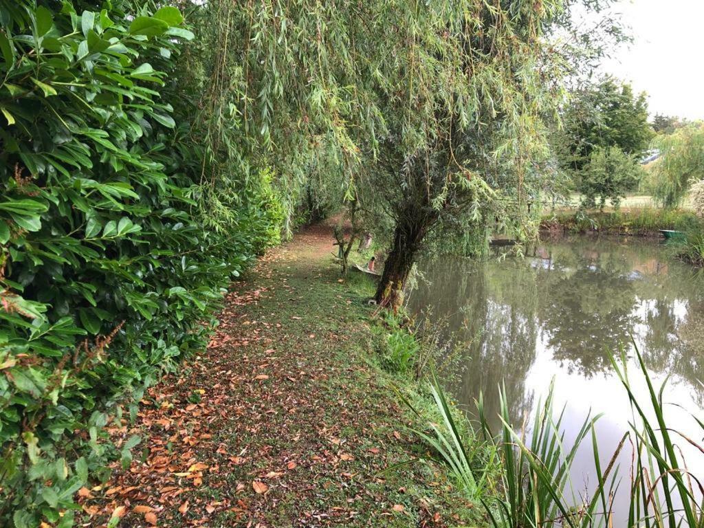 Florennes Gite Neuf 150 M2 Devant Un Grand Lac Prive De 2 Hectares Poissonneux Au Milieu Des Bois Villa Buitenkant foto